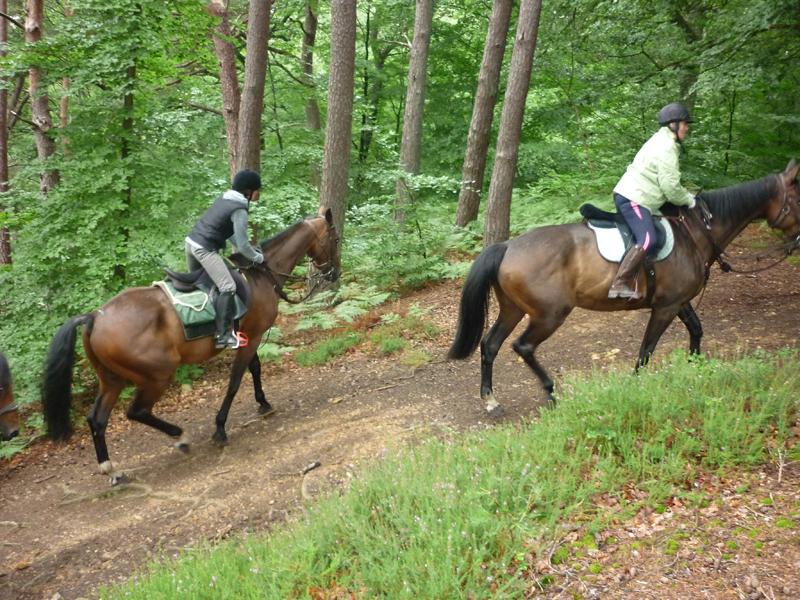 Cheval